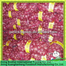 5-7 China nueva cosecha de cebolla roja